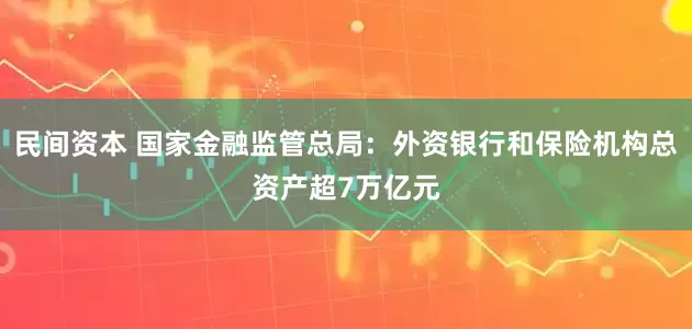 民间资本 国家金融监管总局：外资银行和保险机构总资产超7万亿元