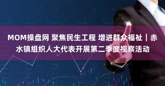 MOM操盘网 聚焦民生工程 增进群众福祉｜赤水镇组织人大代表开展第二季度视察活动