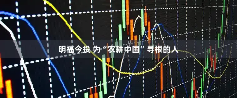 明福今投 为“农耕中国”寻根的人