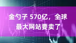 金勺子 570亿，全球最大网站要卖了