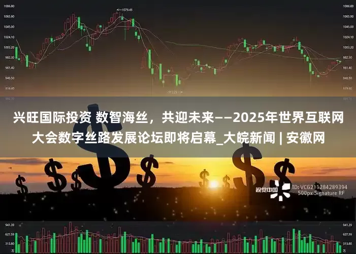 兴旺国际投资 数智海丝，共迎未来——2025年世界互联网大会数字丝路发展论坛即将启幕_大皖新闻 | 安徽网