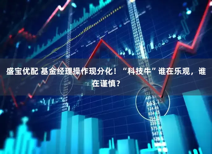 盛宝优配 基金经理操作现分化！“科技牛”谁在乐观，谁在谨慎？